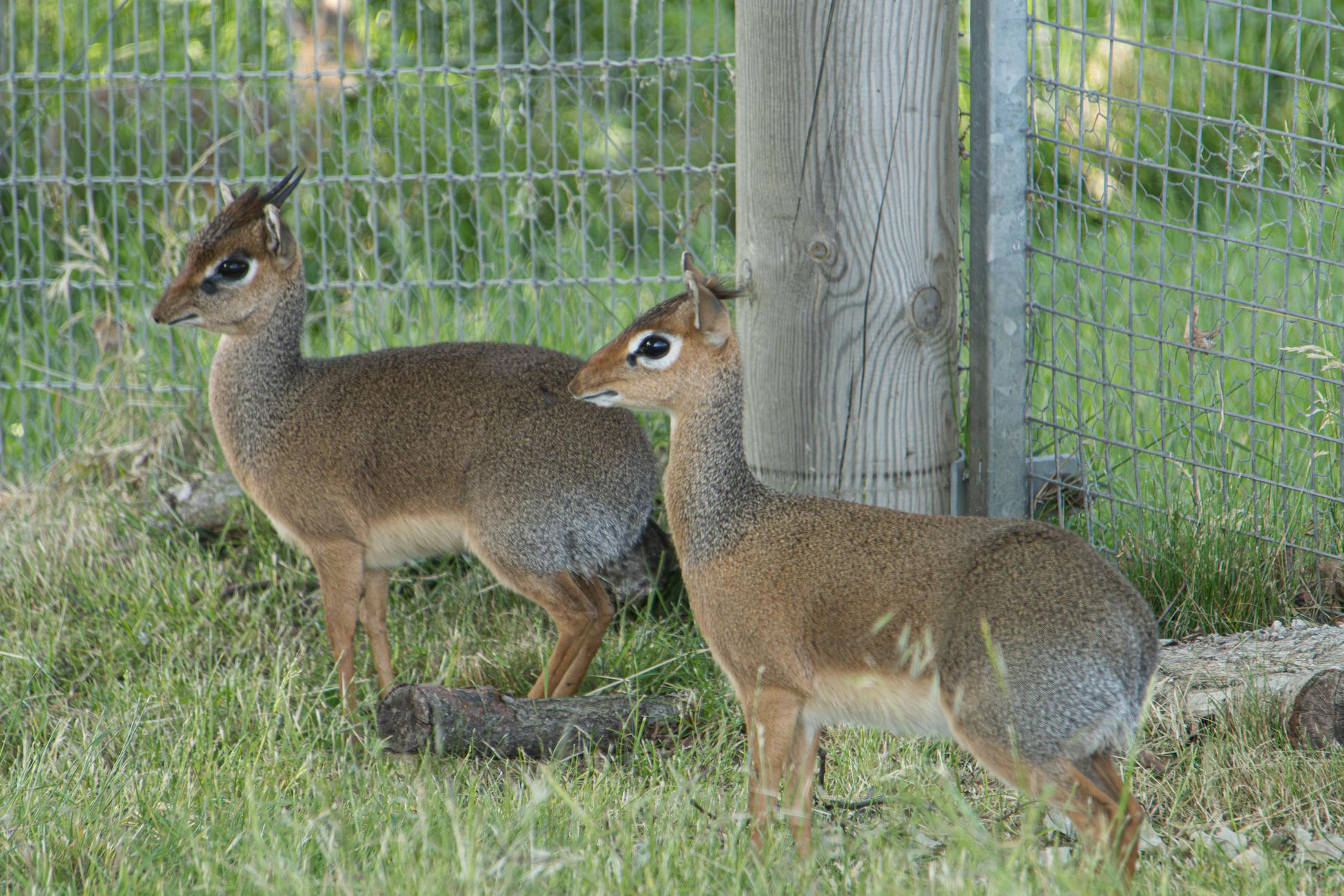 Ansigtsløft behandling i Kirke Hyllinge - find klinik