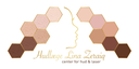 Center for hud & laser logo