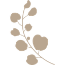 Kosmetisk Klinik Tenna Plesner logo