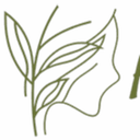 Nordic Alison ApS logo
